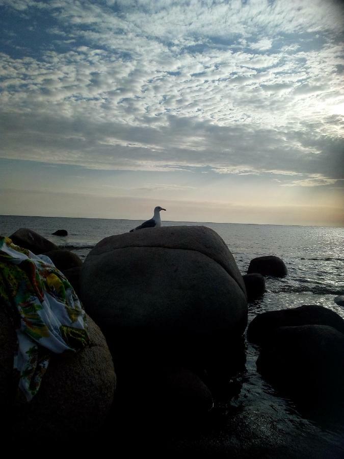 Al Mare, Al Sole, Si', Ma Nella Casa Del Minatore บุจแจร์รุ ภายนอก รูปภาพ